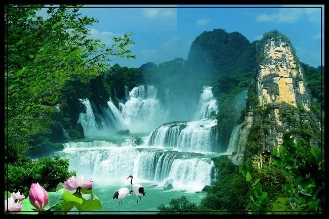 精密新型